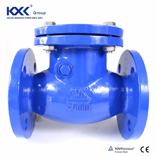 Pn16 Duction Corps en fonte Flang Silence Double plaque Swing Lift Ball Type Clapet anti-retour Clapet anti-retour